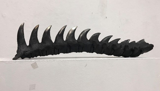 A cast iron spine with sharp points