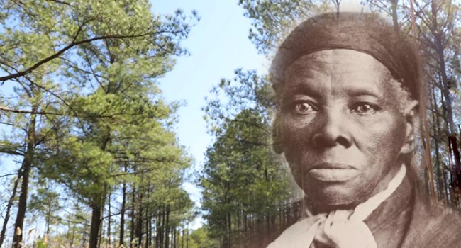 Historic portrait of Harriet Tubman on top of a modern photo of a pine forest