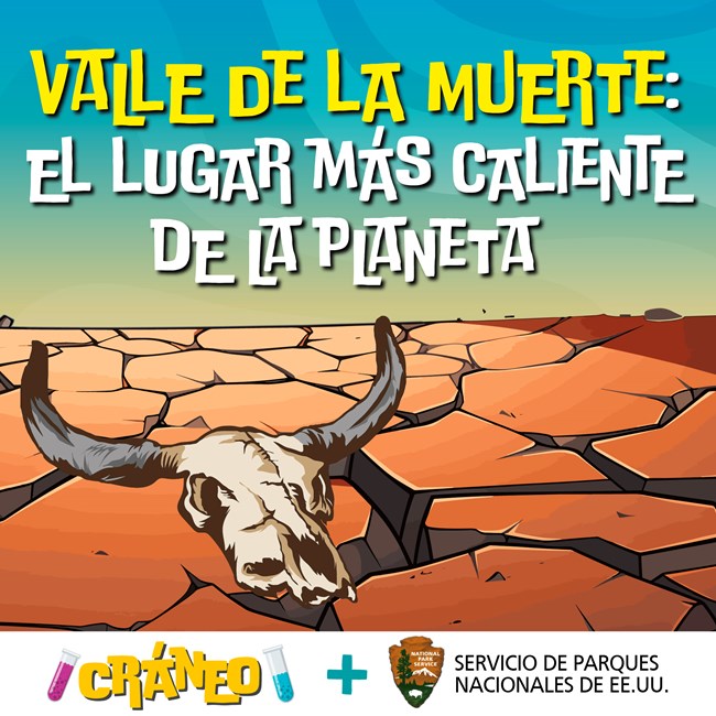 A cartoon cow skull with horns on dried, cracking mud includes the words "Valle de la Muerte: El Lugar Mas Caliente de la Planeta." Below the illustration, the word "Craneo" is placed next to the words "Servicio de Parques Nacionales de EE.UU."