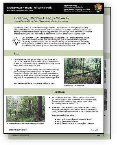 Snapshot of a 2-page document fact sheet