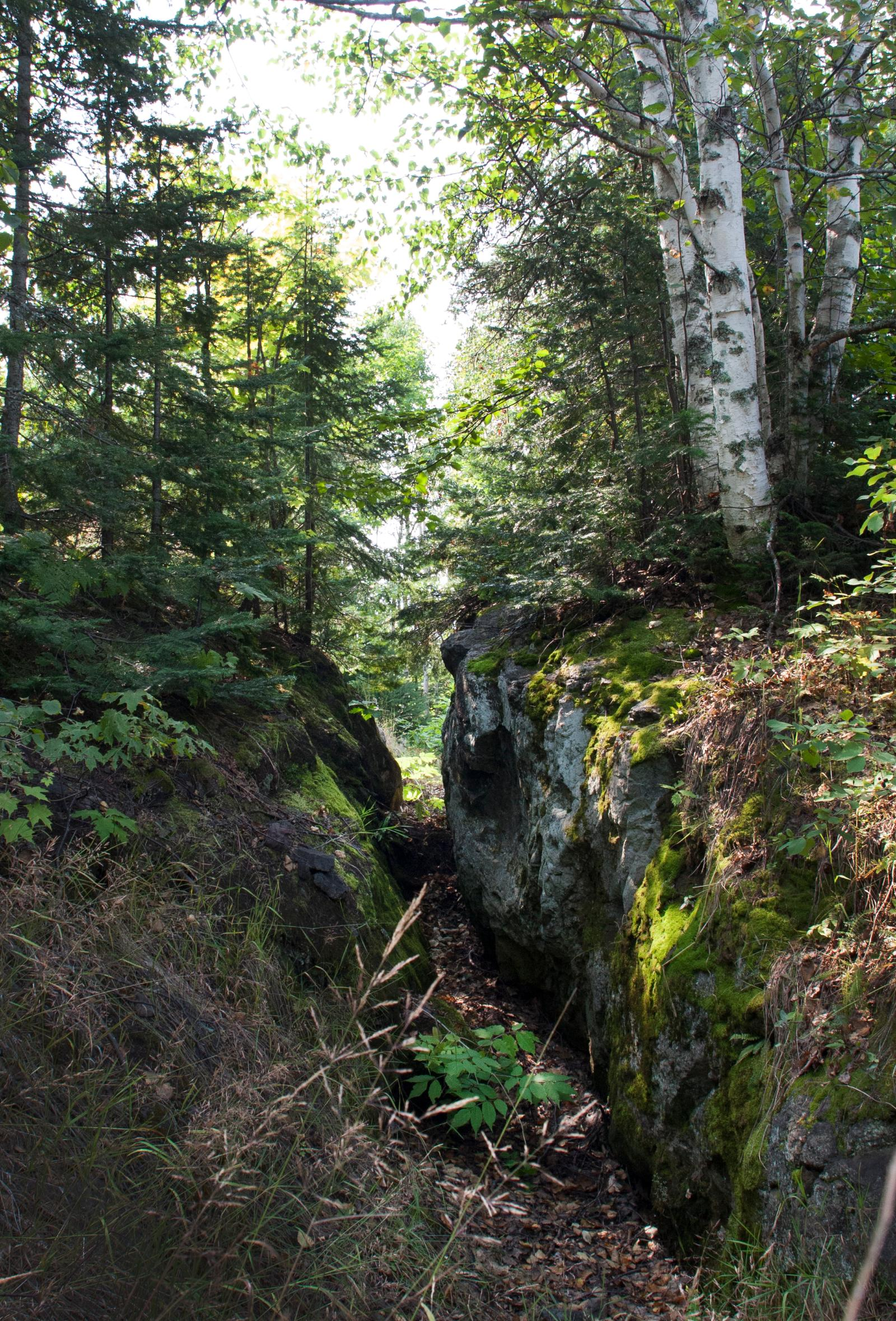 A shallow crevasse cuts through moss covered hard rock, with balsam and white birch on the rock ledges.