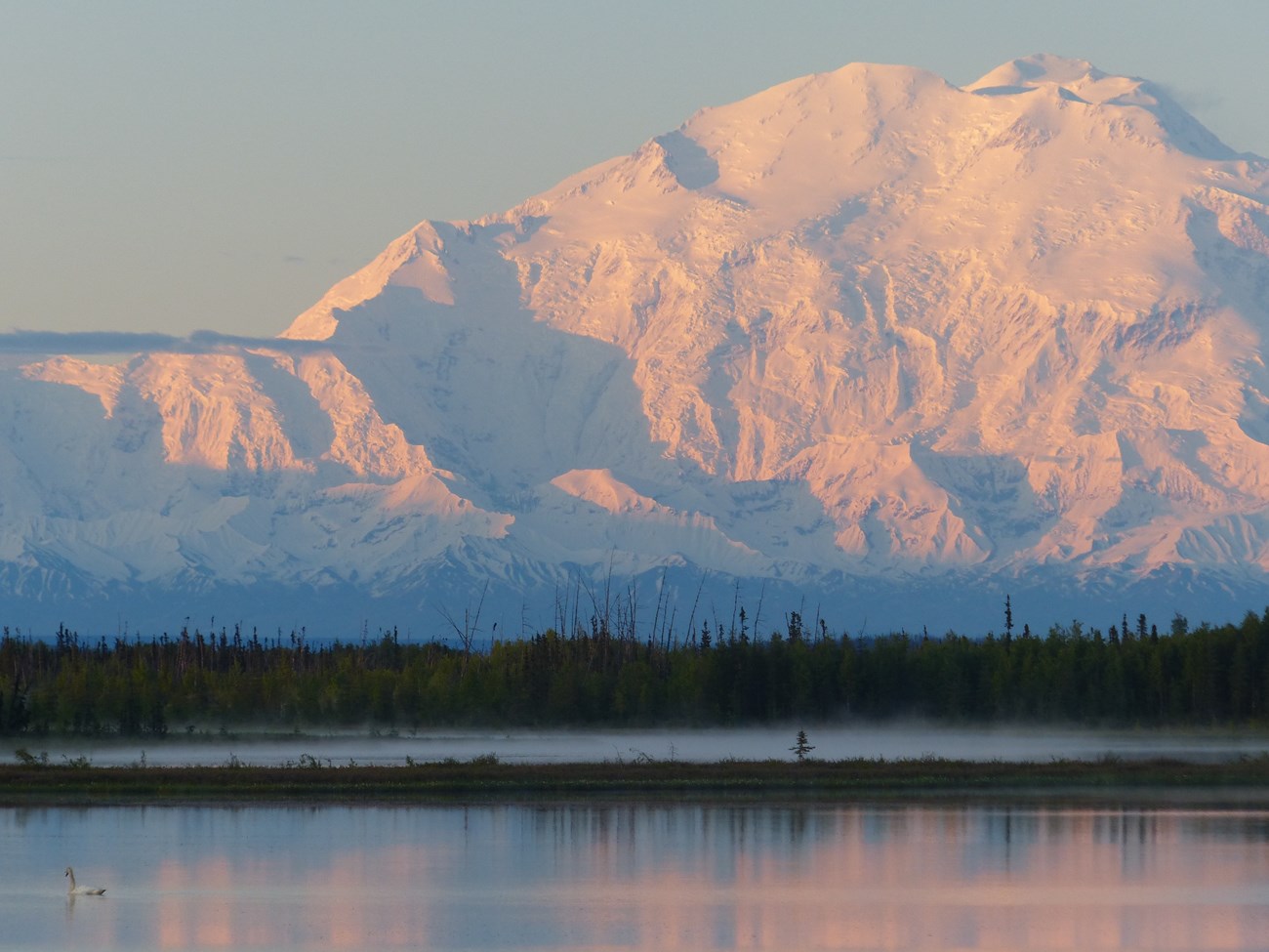 Denali over the lowcountry, with swan. Denali National Preserve, AK.