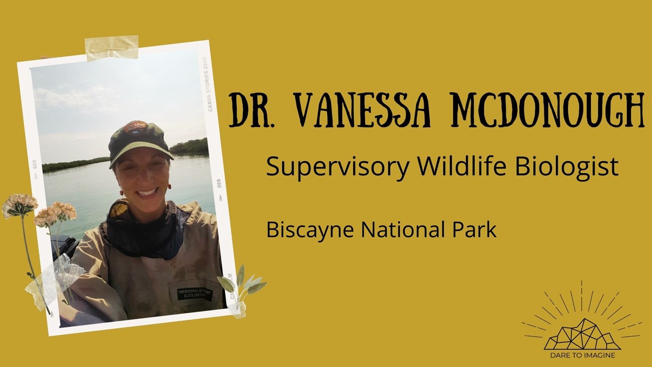 graphic of photo of a woman in field gear. Text reads Dr.Vanessa McDonough, Supervisory Wildlife Biologist, Biscayne