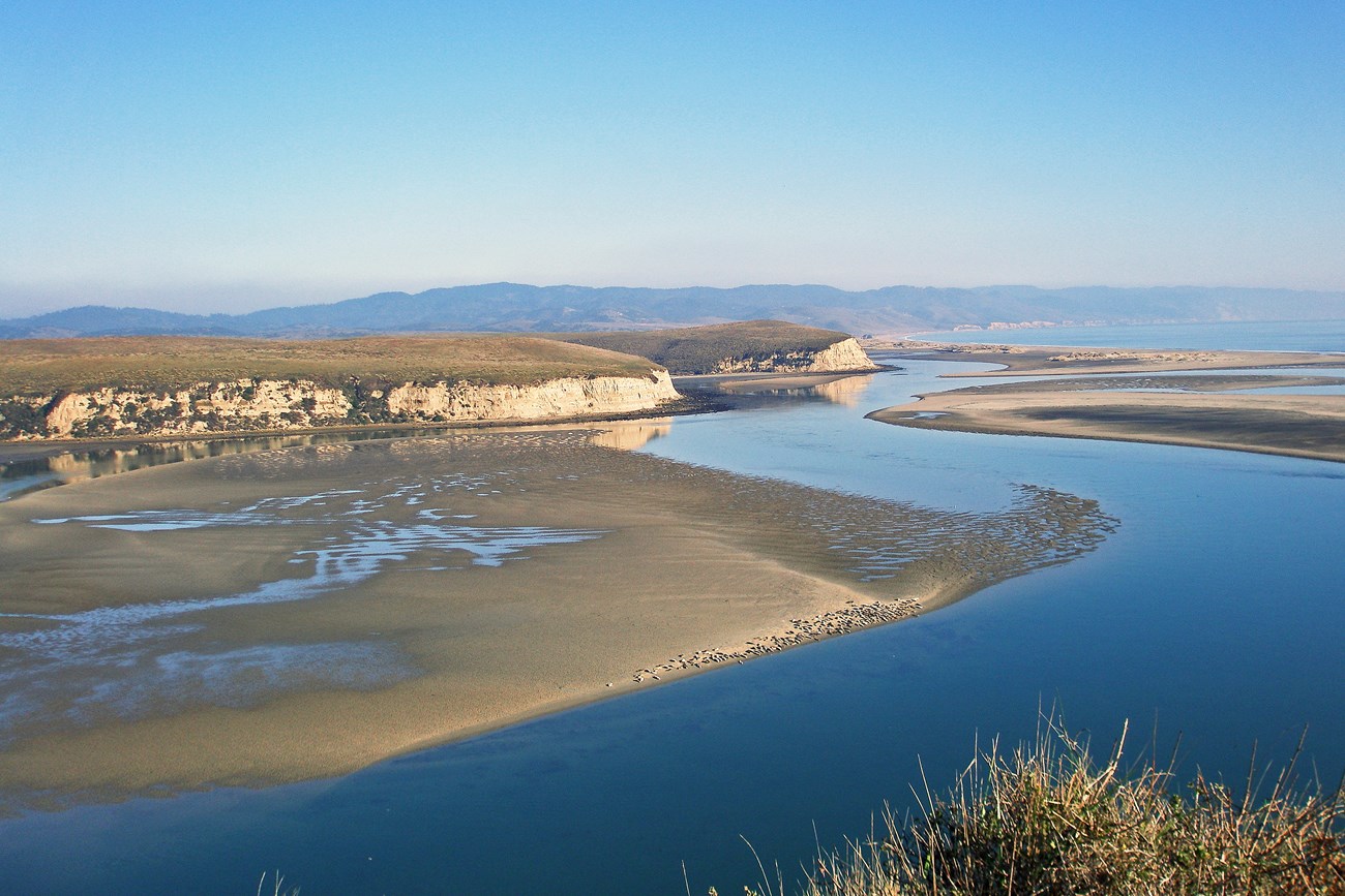 Distant view from above of a bay with many protruding, grass-covered spits of land, white cliffs, and blue waters. A large sandbar is in the center, upon which harbor seals are resting.