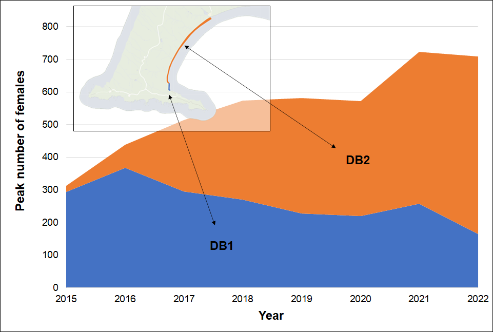 Stacked area graph of peak breeding females on Drakes Beach from 2015 to 2022. The number of females occupying the original extent of the colony shrinks while numbers on the rest of the beach rise dramatically accounting for significant growth overall.