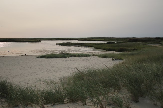 Sand dunes and grasses with lagoon.