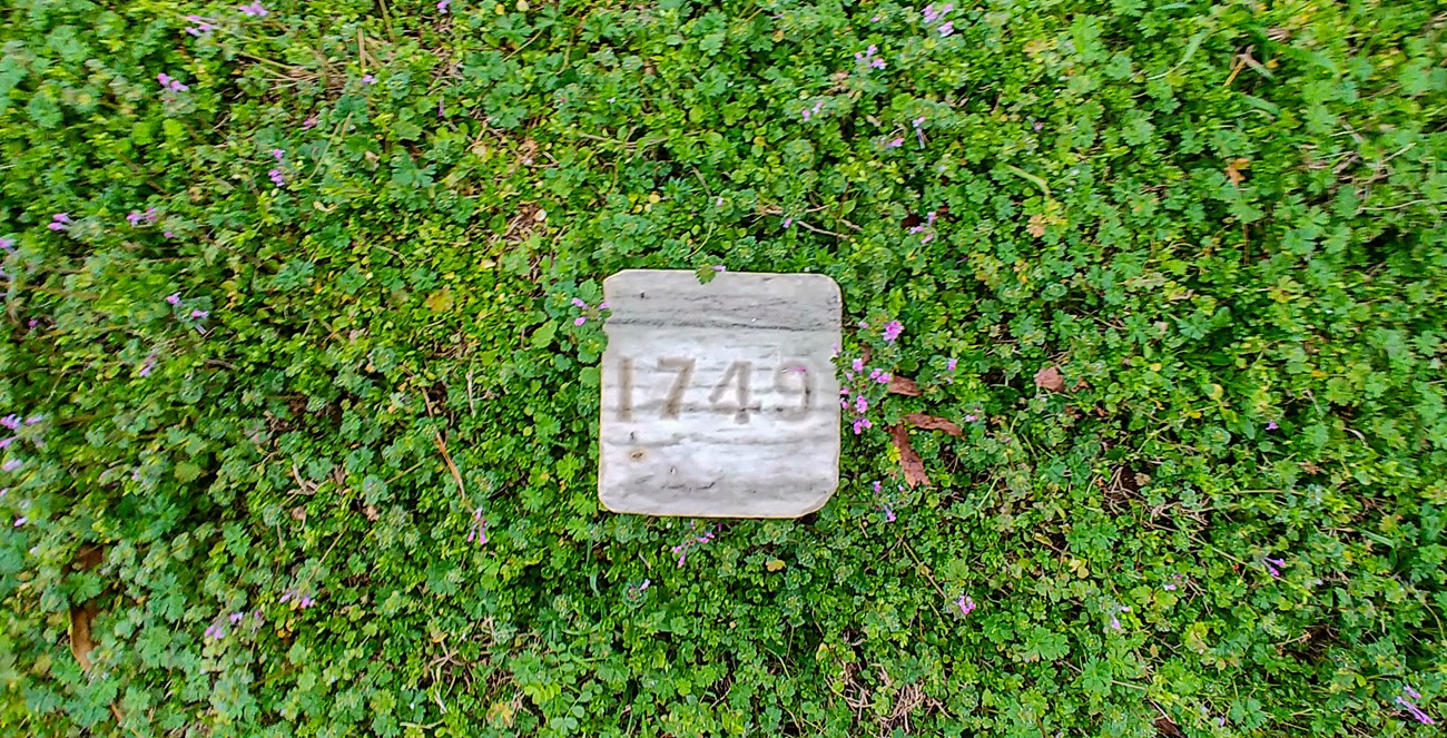 A concrete block with "1749" embossed sits on lush green grass, dotted with small purple flower