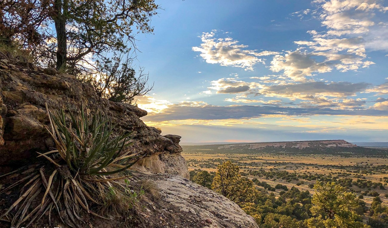 Sandstone bluff and large desert valley below