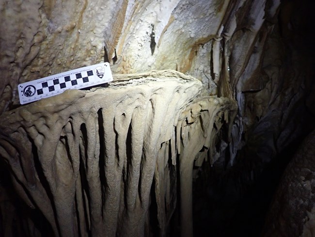 A shield showing the evidences of condensation corrosion