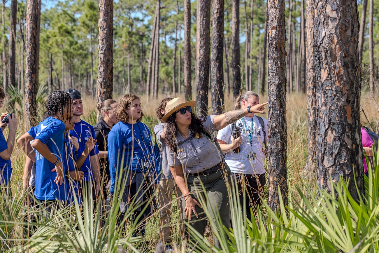 A ranger gestures to a tree, surrounded by a group of children.