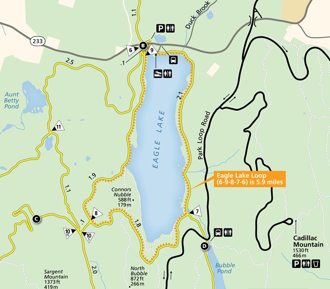 Map of a carriage road loop in Acadia National Park