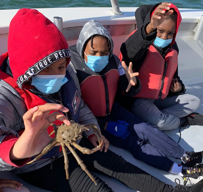 Three boys sit side by side, the one closest to the camera holds a spider crab.