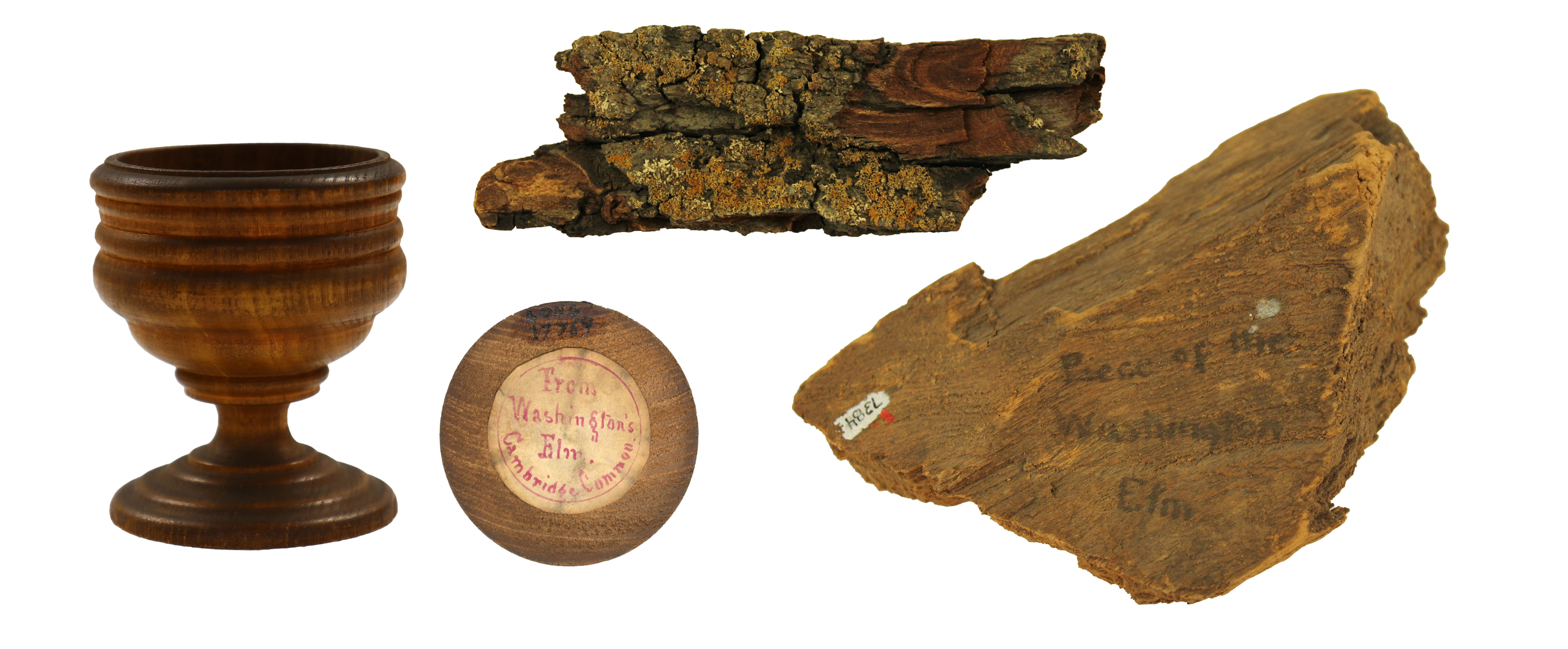 Collage of photos of wooden cup with label and two fragments of wood
