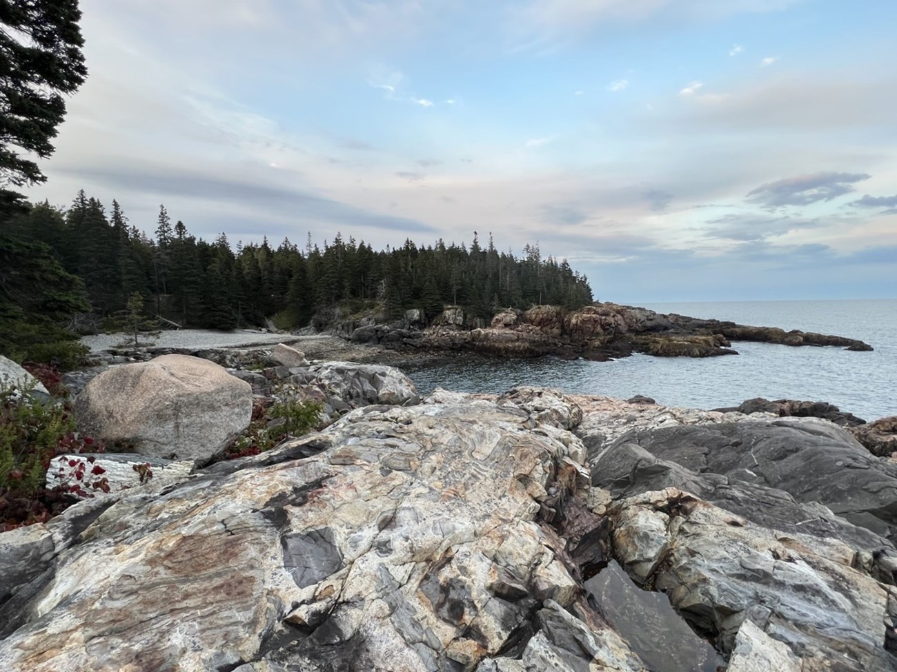 a rocky cove surrounded by evergreen trees