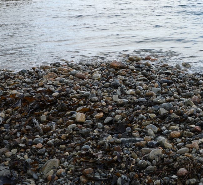 Smooth cobbles of varying sizes on a rocky beach