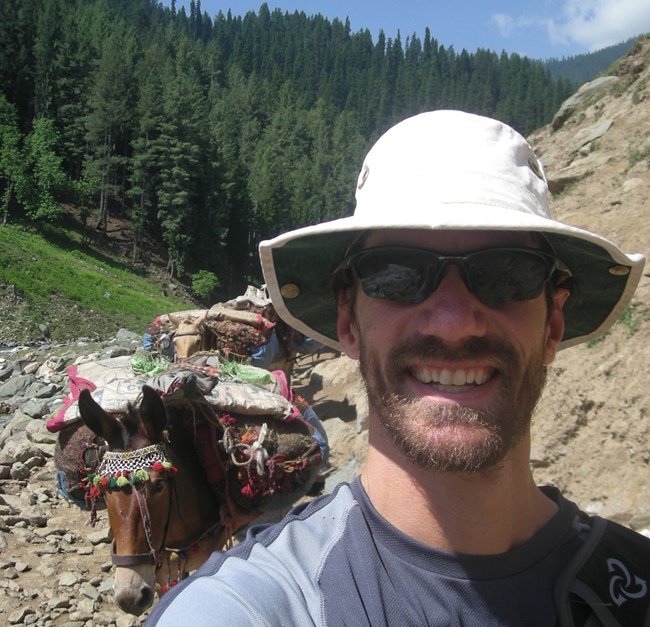 Man leads a line of colorfully decorated donkeys bearing equipment on a mountain trail.