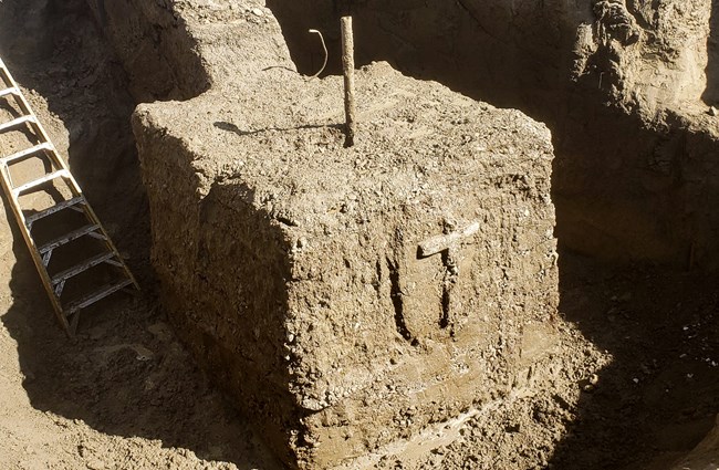 Exposed Cellar at Ludlow