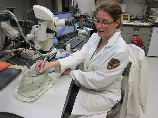 a person in a lab coat working on a fossil