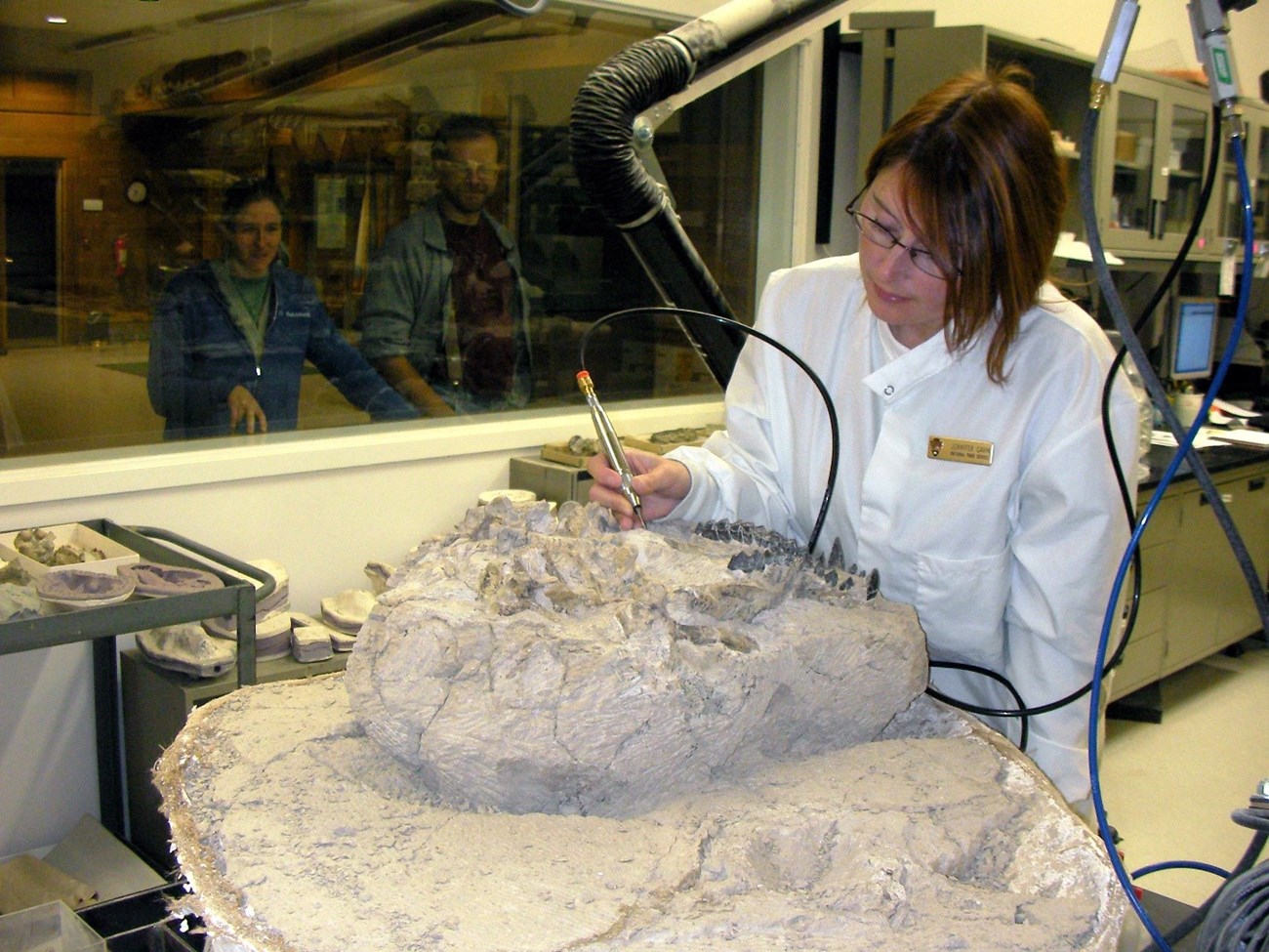 a person in a lab coat working on a fossil