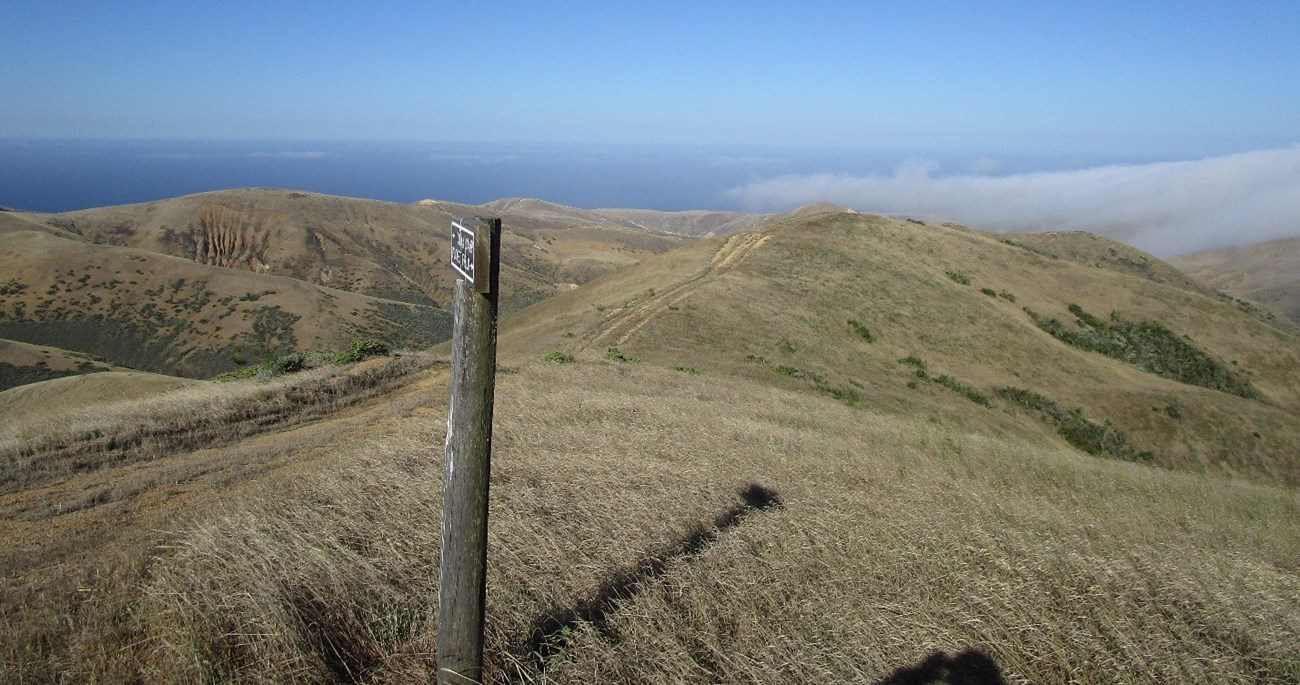 rolling hills covered with grass