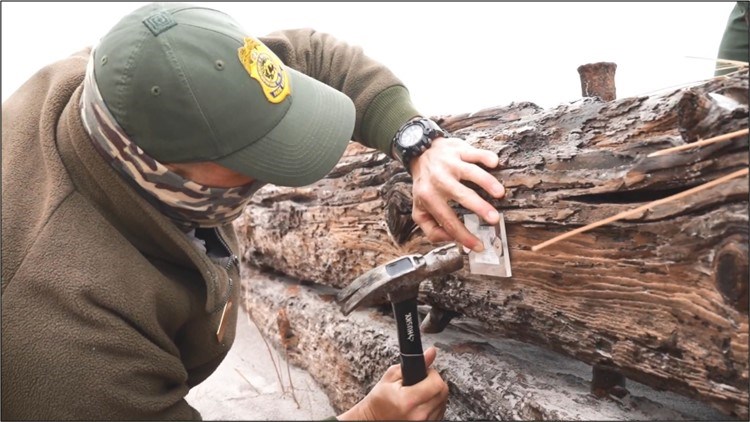 Person attaches a tag to a timber