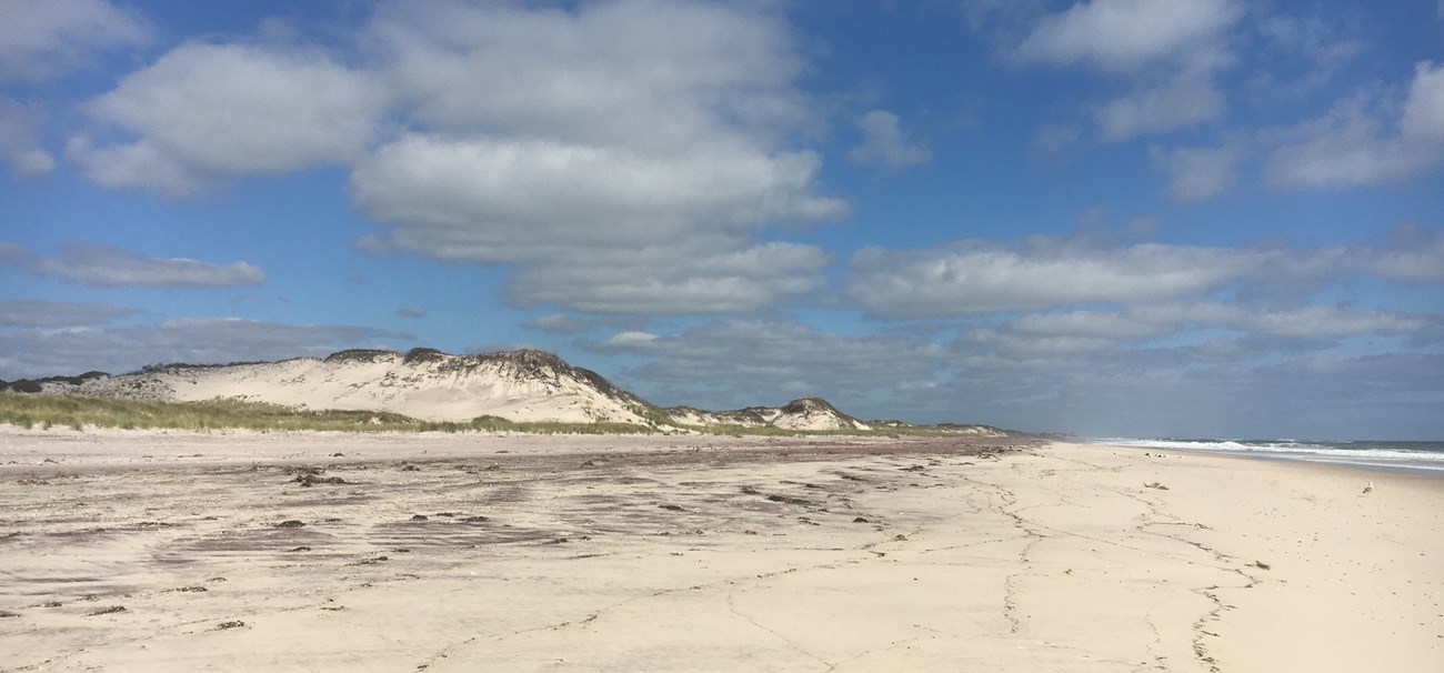 Large sand dunes tower over a flat, sandy beach with seaweed debris under a blue sky with gray clouds.