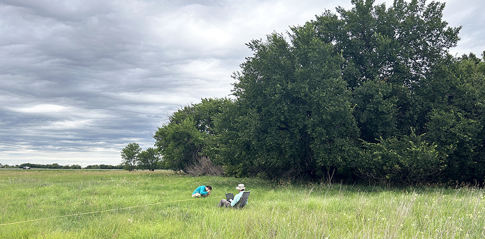 Two scientists in a grassland looking at plants next to tall trees under a gray, cloudy sky