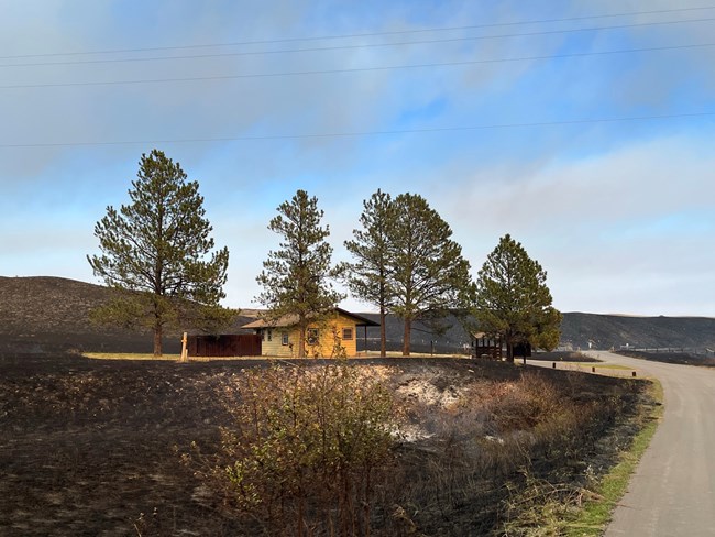 A burned area of vegetation around a building with trees nearby