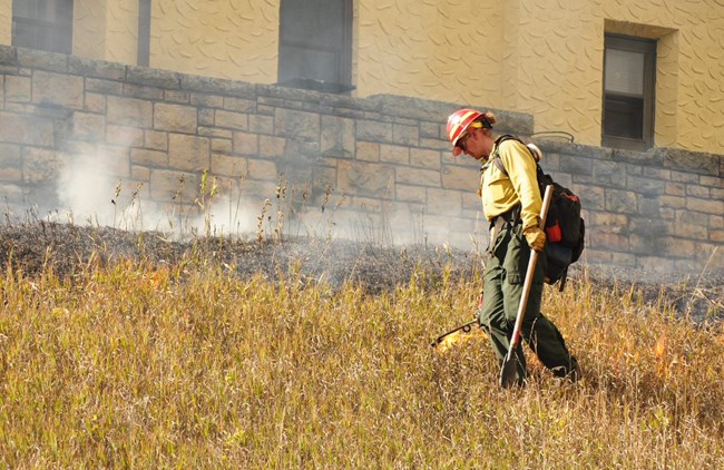 A firefighter uses a drip torch to ignite grasses near a building