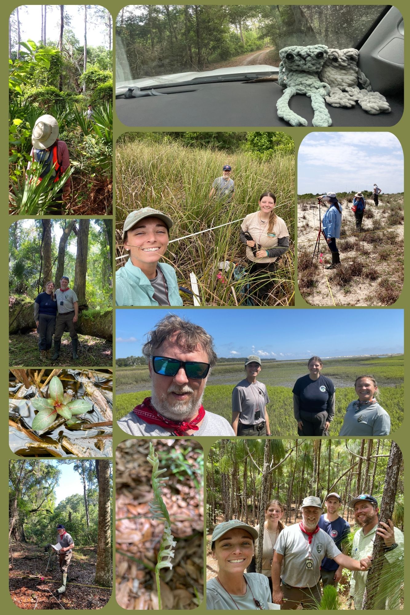 Collage of photos from vegetation monitoring at CUIS