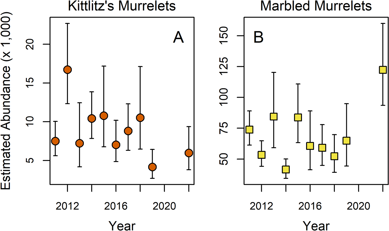 Two figures showing abundance of two murrellet species over time.