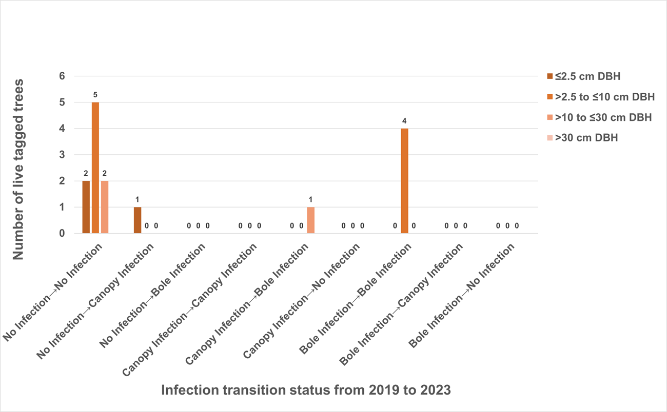 Bar chart showing that a majority of trees stayed uninfected.