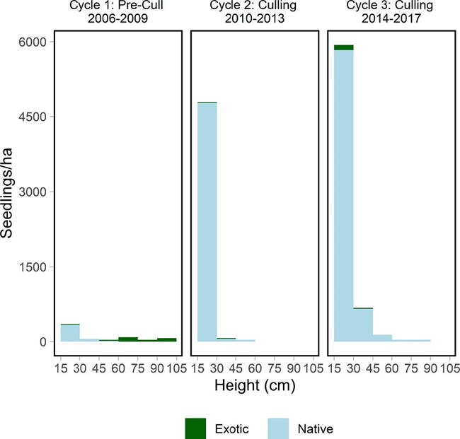 Chart showing rise in the smallest size classes of seedlings per hectare from 2006 to 2017.