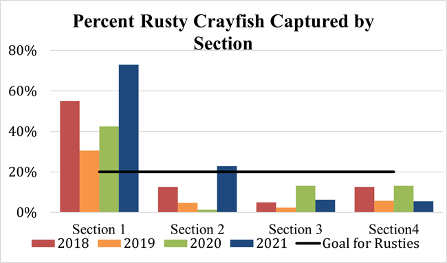 a graph showing the percentage of rusty crayfish captured in each of the 4 sections of the creek in 2018, 2019, 2020, and 2021 and a line representing the target goal percentage