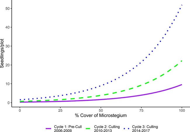 A chart showing an increase in tree seedlings with rise in percent cover of Japanese stiltgrass.