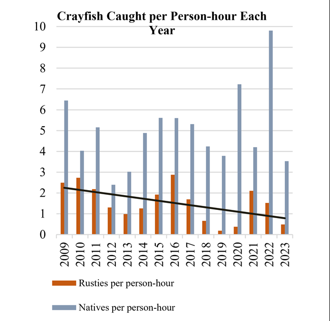 a graph showing a downward trend of rusty crayfish numbers per year from 2009 to 2023