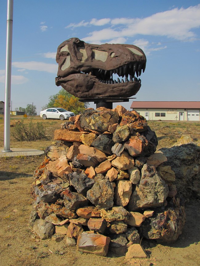 dinosaur skull outdoors on display stand with rock base