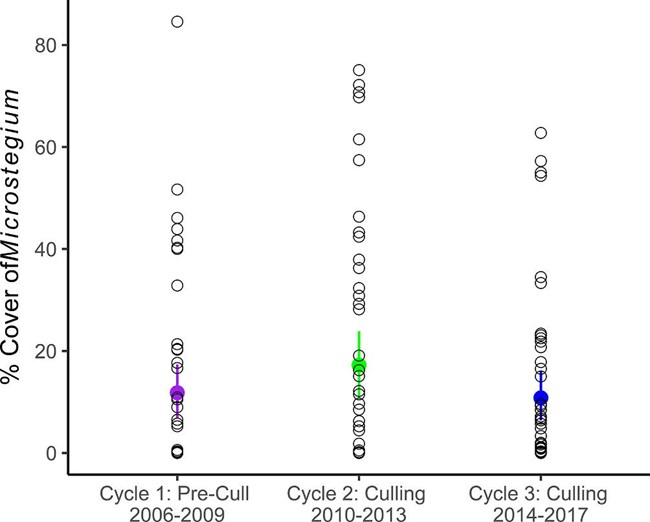 Chart showing changes in cover of Japanese stiltgrass over period of deer management.