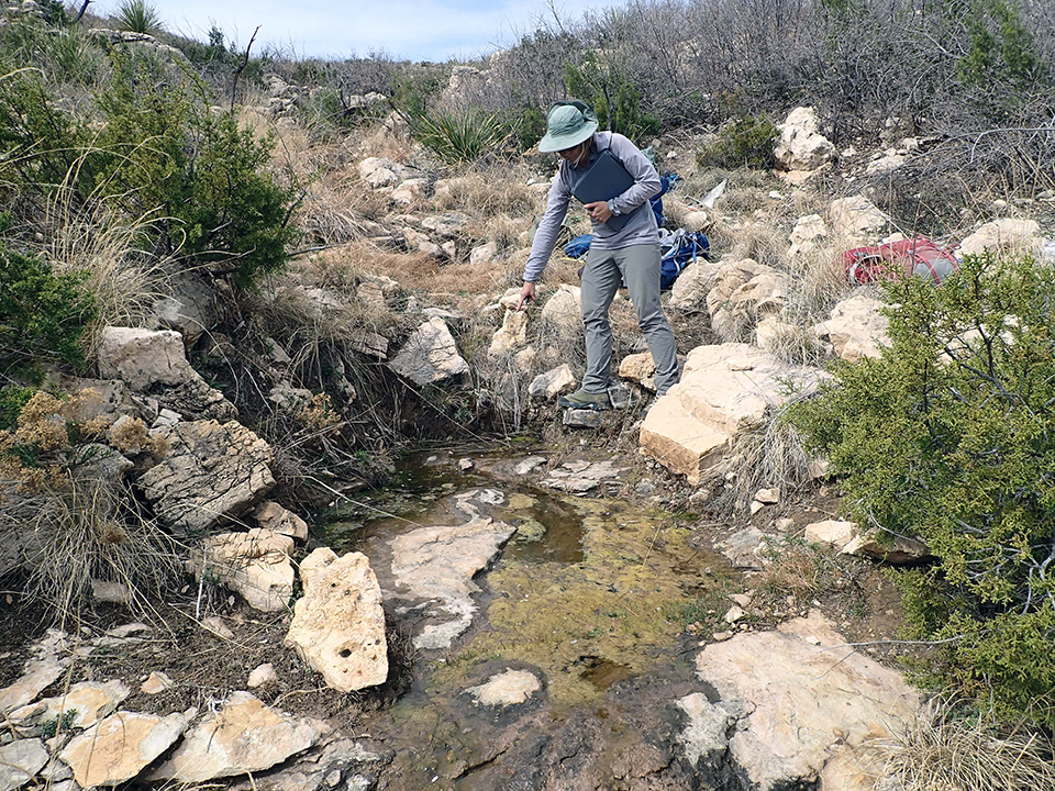 A crew member points to a shallow pool of water that emerges from under rocks in a drainage dotted with rocks, dried grasses, and shrubs.