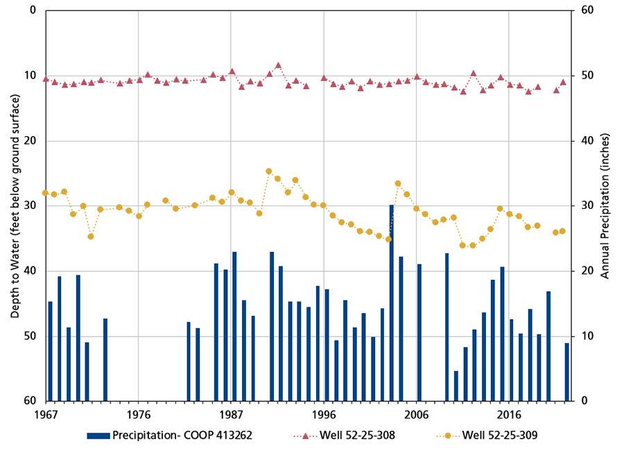 Bar and line graph of depth to water in two wells and annual precipitation. Water level in one well is shallow and stable. Water level in the other well is deeper and fluctuates more.