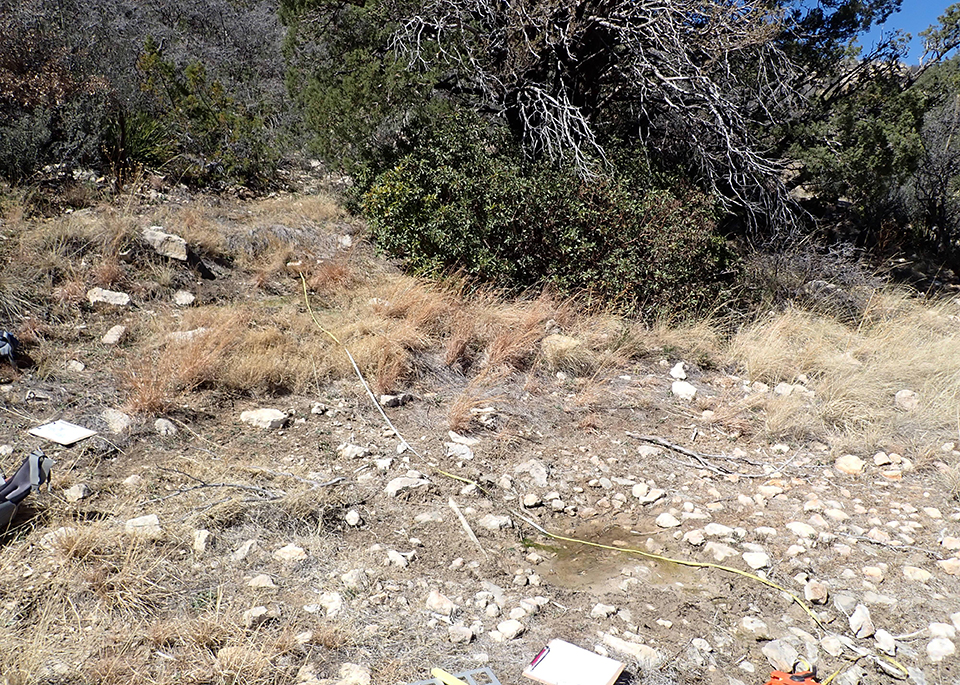 A slope with shrubs, trees, and areas of open ground with scattered rocks and dried plants. A small spring emerges from the hillside.