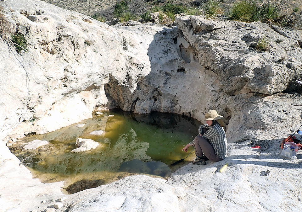 A green-tinged pool in a bedrock basin with a crouched crew member at the edge of the pool pointing at the edge of the water.