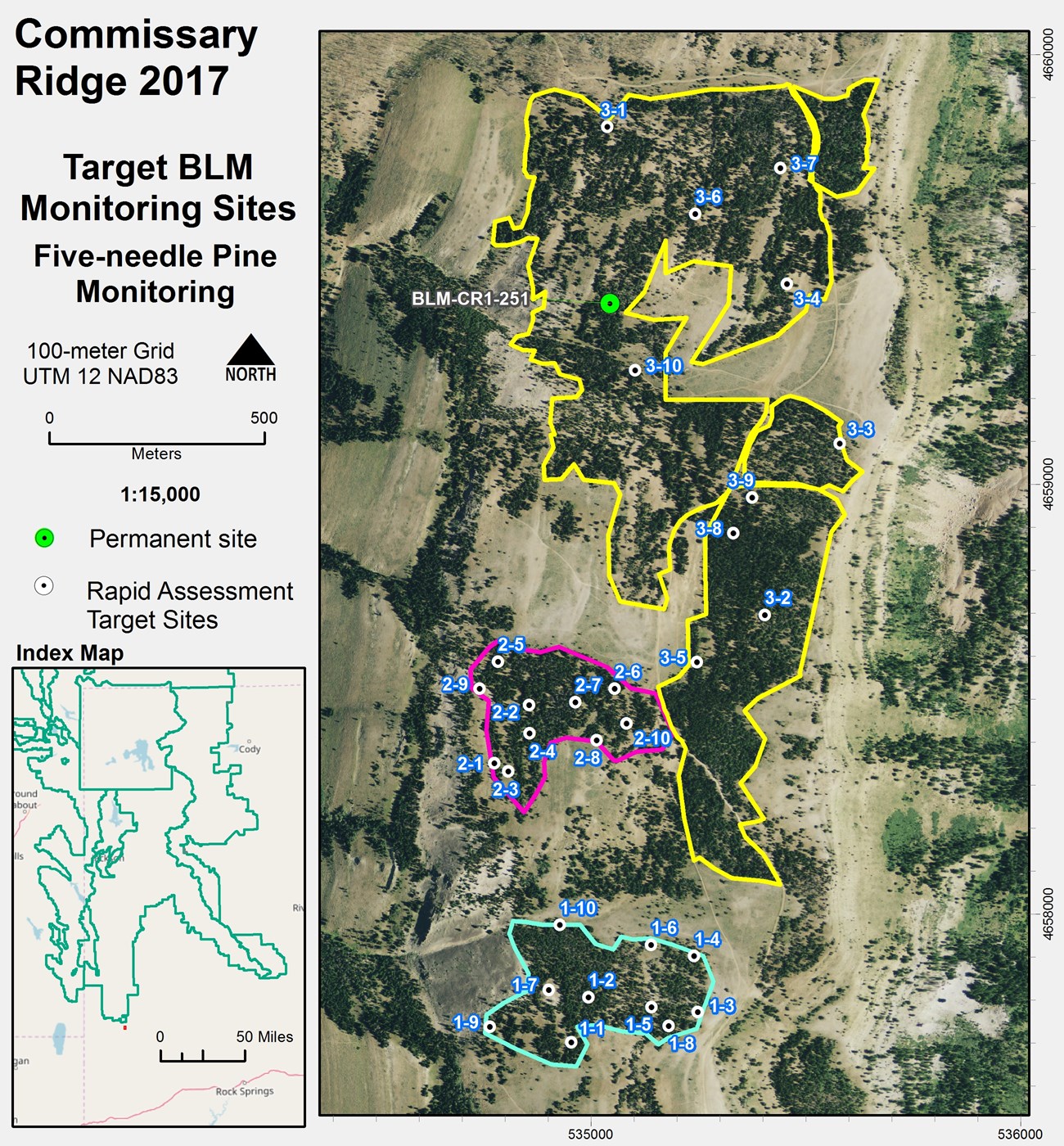 Map delineating forest stands with marked plot centers.