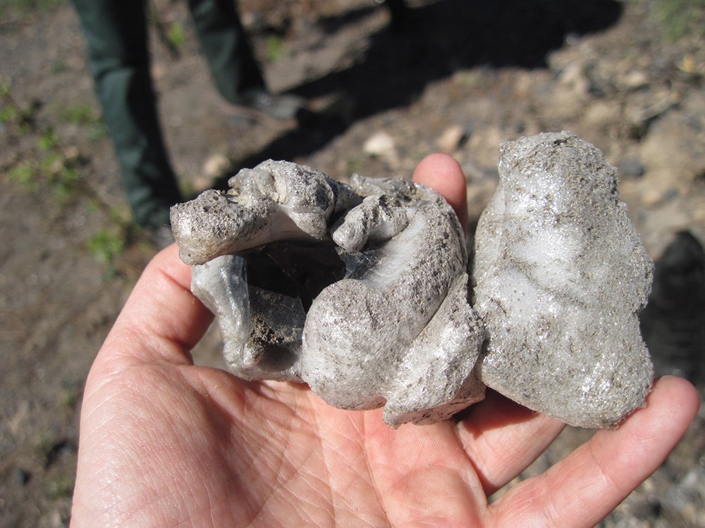 Hand holding a chunk of obsidian that was melted and bubbled in a forest fire.