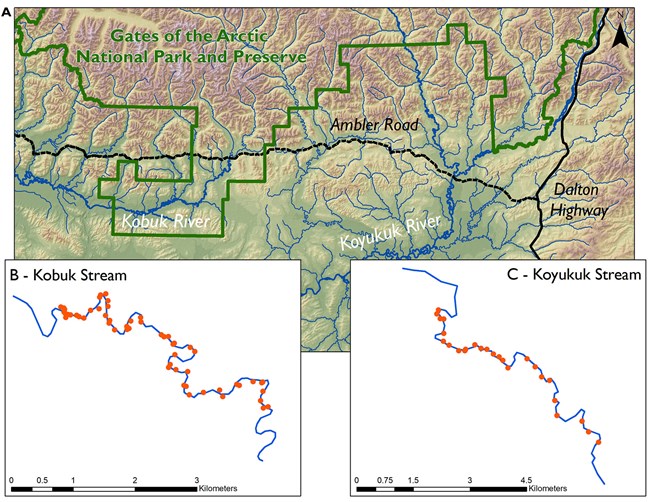 A map of the study area on the Koyukuk and Kobuk rivers.