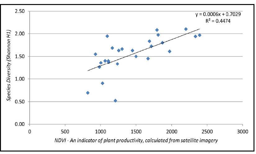 Line graph plotting bird species diversity (y-axis) as a function of NDVI (plant productivity, x-axis). The graph shows a best-fit line with a positive trend. R-squared = 0.4474.