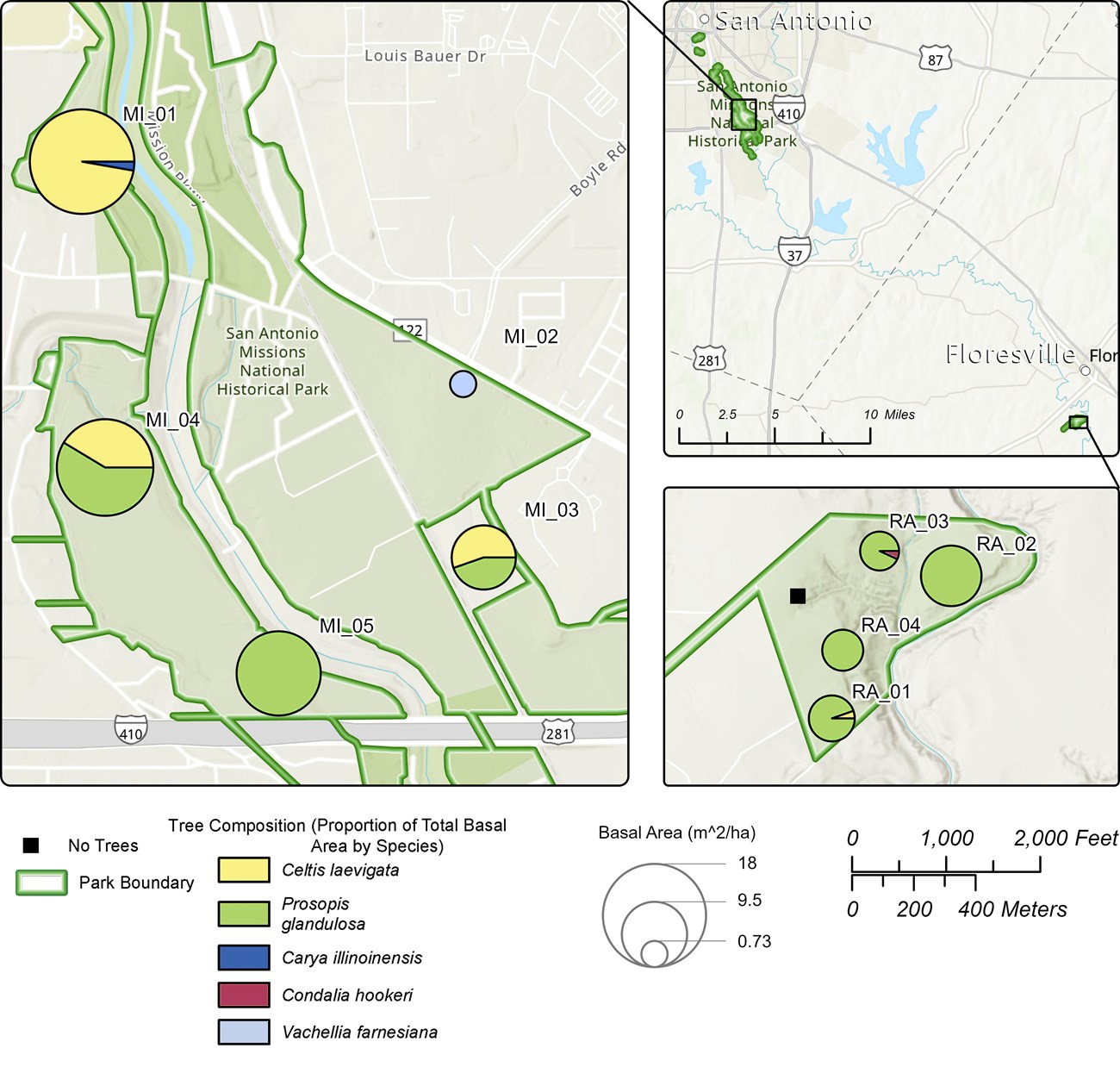 Maps showing tree composition and basal area for each of the vegetation monitoring plots.
