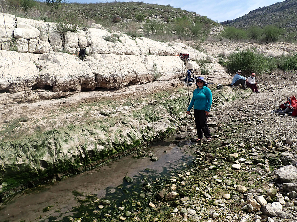 Two people sitting and one person standing on the edge of a stream pointing at the orifice of the spring that emerges as moderate flow in a stream channel lined with cobbles. Two limestone ledges are seen along one side of the stream.