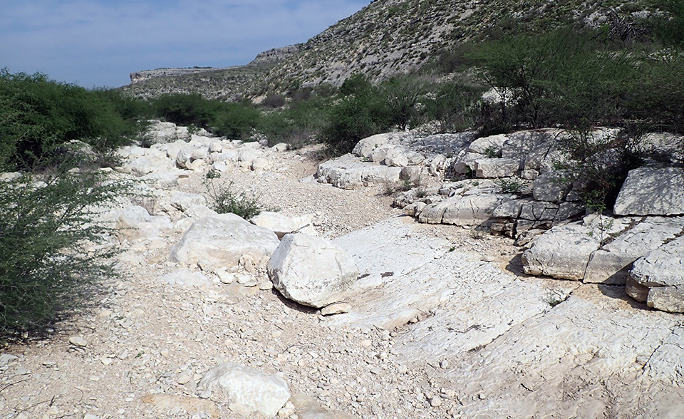 A dry streambed with white, exposed bedrock along the bottom and side, with shrubs lining the banks.