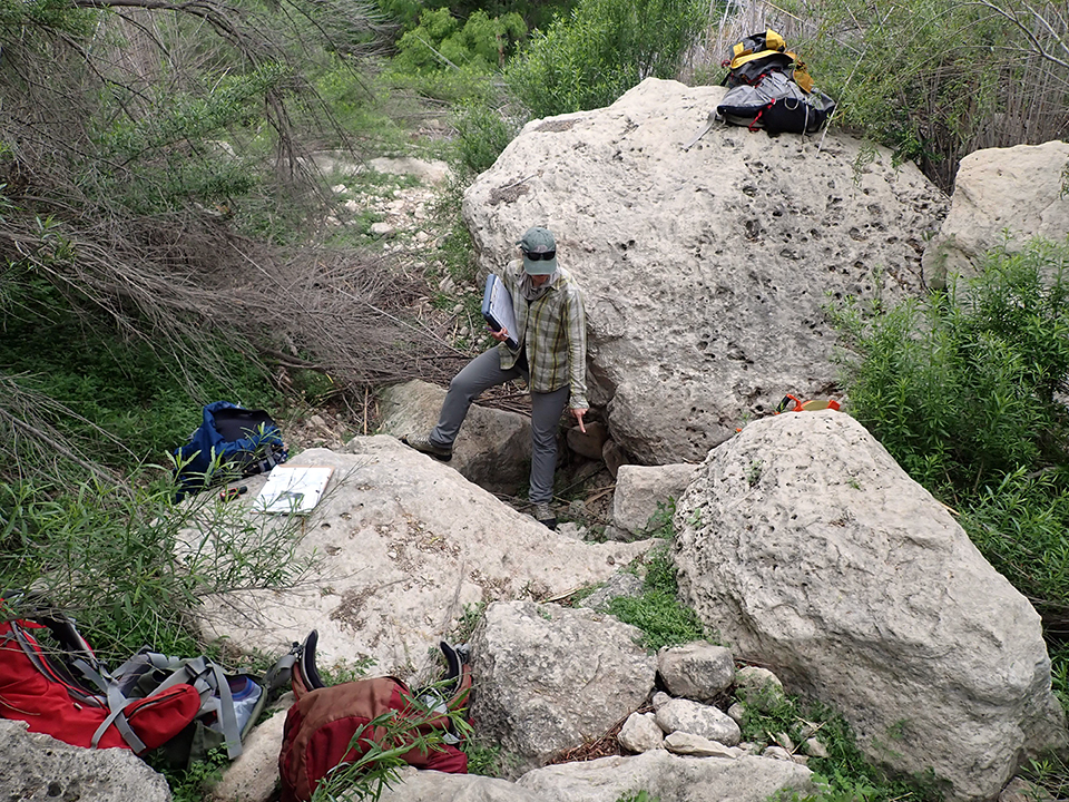 A person points to a dry area on the ground surrounded by large gray boulders and bright green vegetation.